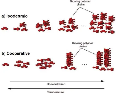 Table 8. Concentration-induced chemical shift variation of dimer 53 measured in CD 2 Cl 2  at 295 K