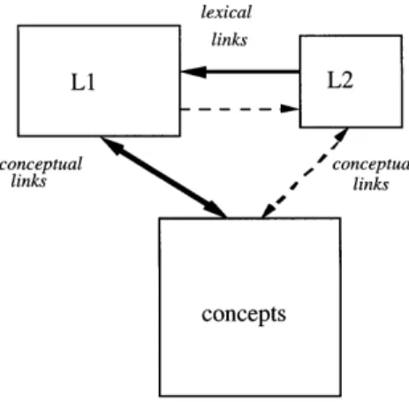 Figure 26.6 The Revised Hierarchical Model. Adapted from Kroll and Stewart (1994). L1, first language;