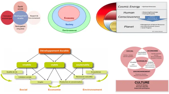 Fig 3 a, b, c, d, e : Quelques exemples de schémas illustrant la diversité des représentations informatives et  explicatives que l’on trouve en explorant les sites web parlant de développement durable