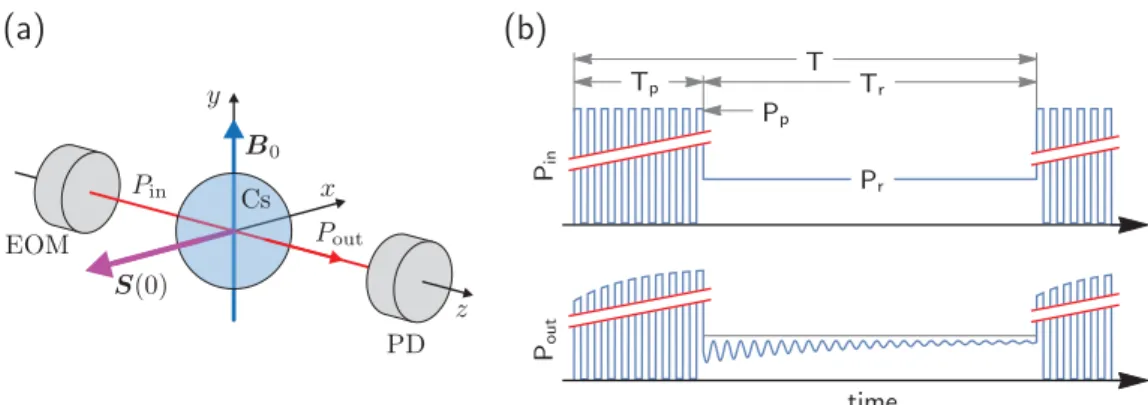 Fig. 1. (a) Geometry of the magnetically-silent FSP magnetometer. (b) One measurement cycle of duration T 