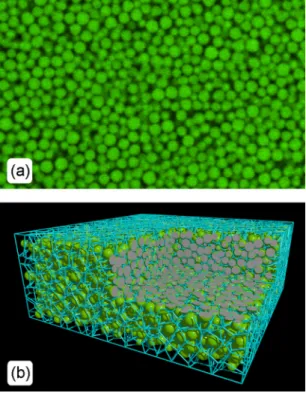 FIG. 2. (Color online) Three-dimensional imaging of jammed emulsions droplets with an average droplet radius ¯ a = 1.05 μm.