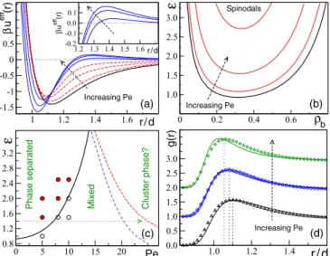 FIG. 3. (Color online) Simulated phase separation. (a) Snapshot of a mixed system at t /τ B = 40, Pe = 8, ε/(k B T ) = 1.5