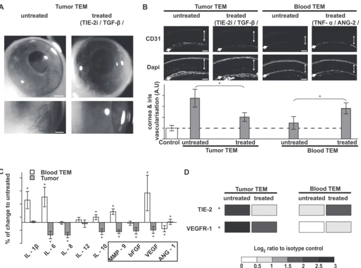 Fig 6. Controlling the pro-angiogenic activity of TEM from breast cancer patients. (A and B) In vivo corneal vascularization assay, as described in Fig