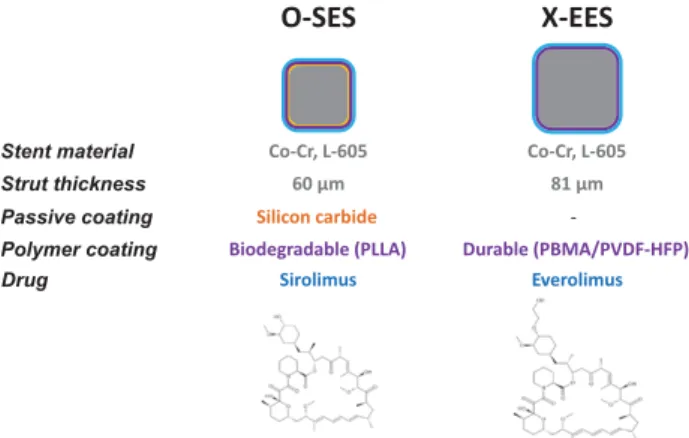 Figure 1. Stent material, strut thickness, passive and polymer  coating, and antiproliferative drug components of the stent  plat-forms (biodegradable polymer–based sirolimus-eluting stents  and durable polymer–based everolimus-eluting stents) used in  the