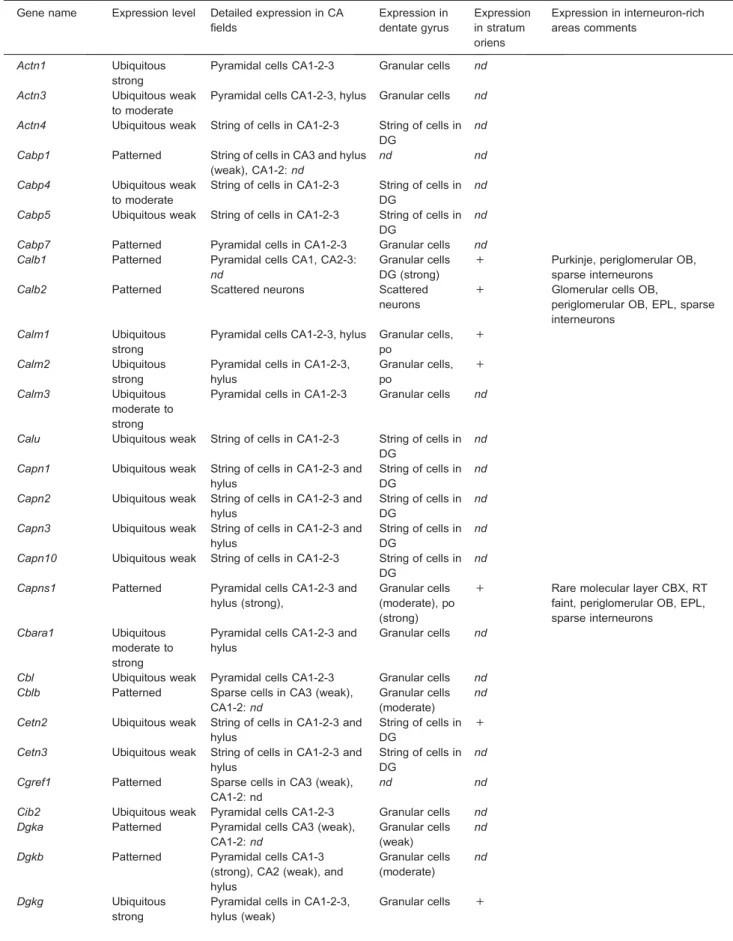 Table 6. EF-hand family genes expressed in the hippocampus. The table lists the EF-hand genes showing a detectable expression in the hippocampal formation (Ammon’s horn region CA1, 2, 3, dentate gyrus and the interneuron-rich Stratum oriens), according to 