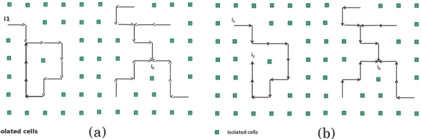 Fig 4. Examples of oriented sub-graph G  . (a) A sub-graph G  (in black) in a background of isolated cells