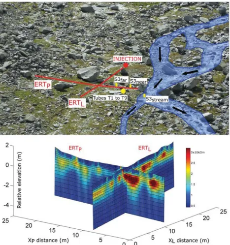 Figure 2. Layout of the longitudinal electrical resistivity tomography (ERT L ) and perpendicular ERT (ERT P ) lines at S3