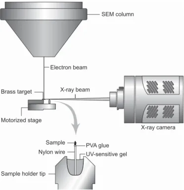 Fig. 1. Schematic illustration of the SEM micro-CT geometry and settings.