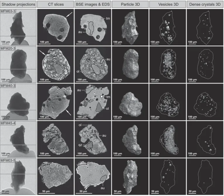 Fig. 2. X-ray shadow projections, CT slices, SEM data and volume renderings for particles, vesicles and dense microcrystals for a selection of ﬁve volcanic ash particles from the 125–250 μm (MFM03-3, MFM20-3, MFM40-3, MFM45-4) and from the 64–125 μm (MFM03