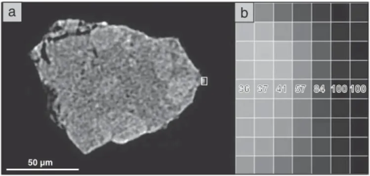 Fig. 4. CT slice of sample MFM03-5 (a). The white rectangle indicates the location of the close-up view shown in (b)