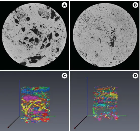 Figure 14. Slices and volume rendered pore networks, extracted from m CT scans. 2D slices perpendicular to the long axis of (A) sample Al09 and (B) sample Al18