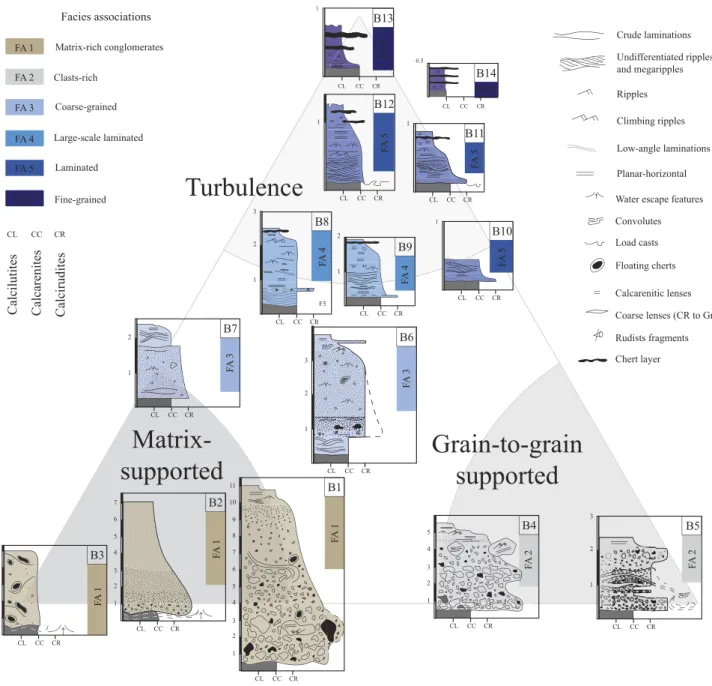 Fig. 3. Few examples of the facies recognized in the ﬁeld, from top to bottom and left to right: Polygenic limeclasts (B1); Muddy debrites (B3), note encircled platform clasts and cherts.