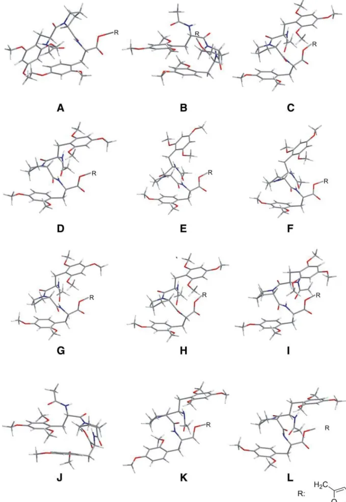 Figure 2. Optimized conformers of the radical cation of 1 that were examined. Their relative energies are given in Table 1