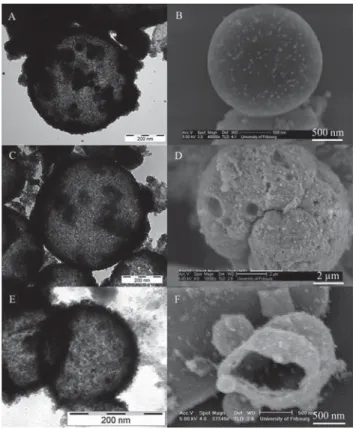 Fig. 8 Silver release as a function of immersion time for AgNP/CeO 2