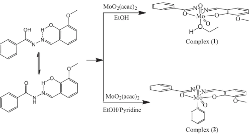 Fig. 2. ORTEP diagram of [MoO 2 (L)(EtOH)] (1). (50% probability level) and of [MoO 2 (L)(py)] (2) (30% probability level).