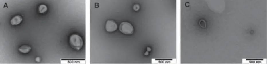 Figure 3.      cryo-TEM images of HRP-loaded, photo-permeabilized PMOXA-  b -PDMS polymersomes before (A, B) and after HRP-catalyzed ATRP  within the polymersomes (D, E, F)