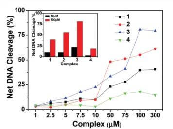 Fig. 16 Concentration dependent DNA cleavage by 1 – 4; 300 ng of SC pUC19 DNA at di ﬀ erent concentrations of the complexes [1 – 300 μM in 50 mM Tris – HCl bu ﬀ er ( pH 8.0) containing 1% DMF] was  photo-irradiated with UVA at 350 nm for 1 h