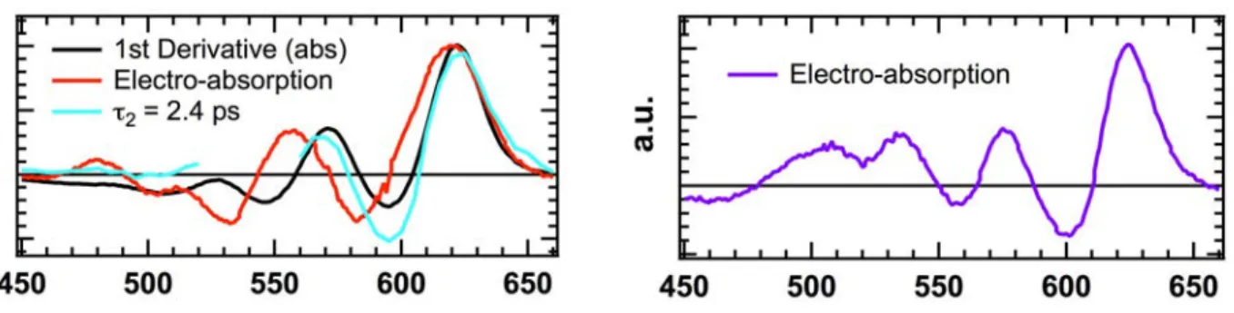 Figure S7. The left panel shows the first derivative of the steady-state absorption spectrum (black), the electro- electro-absorption spectrum measured on a solar cell with an applied bias of 6 V (red), and the amplitude spectrum  asso-ciated with the 2.4 