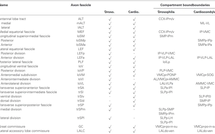 Table 1 | Comparative summary of the axon fascicles associated with compartments boundaries in Drosophila and in Cardiocondyla obscurior.