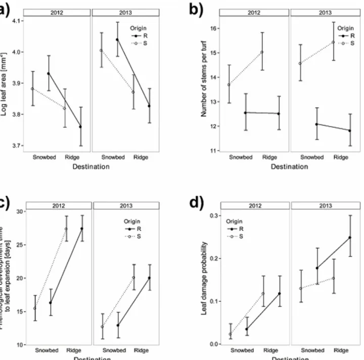 Fig 1. Leaf size (a), stem number (b), phenological development time (time from snowmelt to leaf expansion) (c), and leaf damage probability (d) of Salix herbacea turfs, reciprocally transplanted in 2011 between late exposed snowbed and early exposed ridge