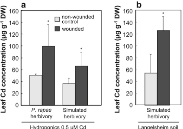 Fig. 2 Insect herbivory is decreased when Cd is available for accumulation by Arabidopsis halleri