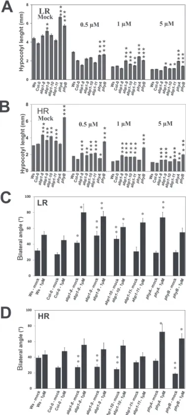 Fig. 6.  Effect of NPA on elongation and gravitropism in LR or HR. 