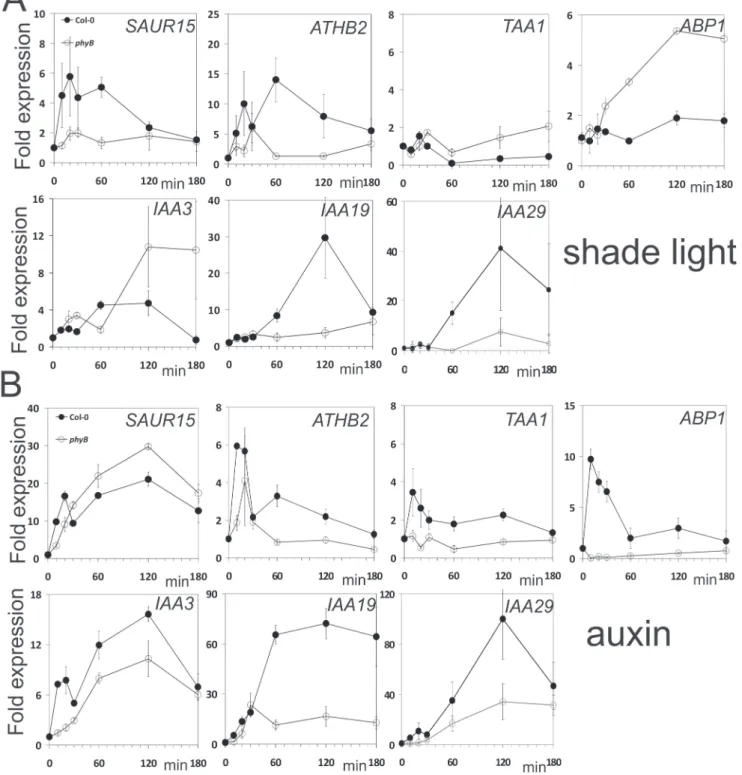 Fig. 8.  Differential co-regulation of expression of auxin- and light-induced genes in phyB and Col wt seedlings