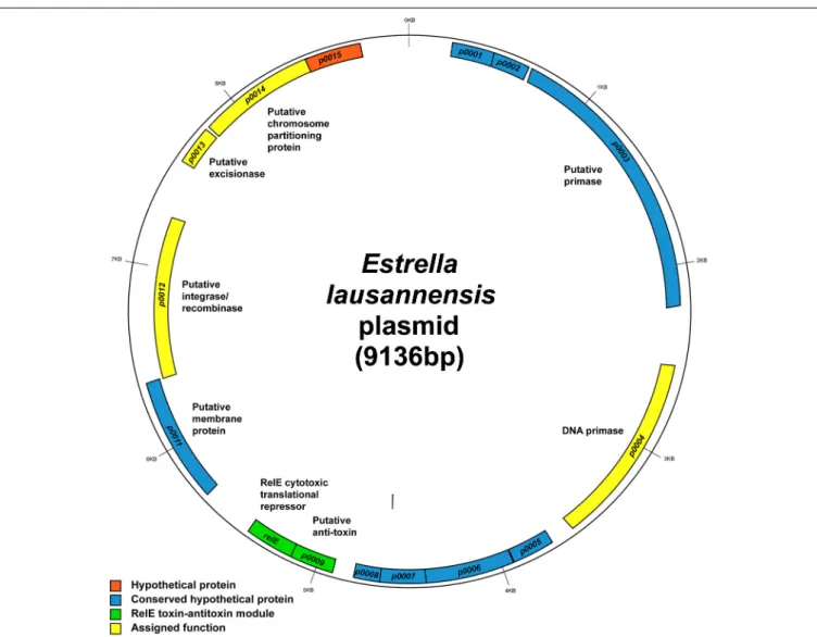 FIGURE 7 | Map of the 9.1-kbEstrella plasmid. The map shows the predicted location of the 14 open reading frames on the plasmid