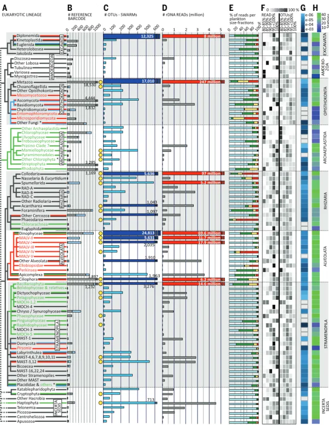 Fig. 3. Phylogenetic distribution of the assignable component of eukary- eukary-otic plankton ribosomal diversity
