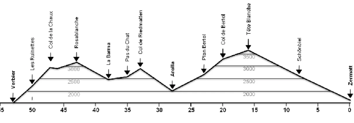 Figure 1 : Profil du parcours de la PDG (5)  