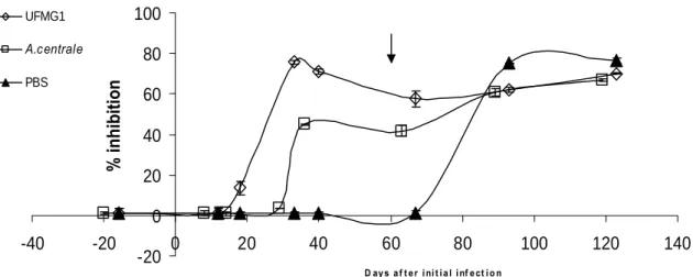 Figure  1:  Seroconversion  after  infection,  measured  by  MSP5  cELISA  with  samples  diluted  1:64