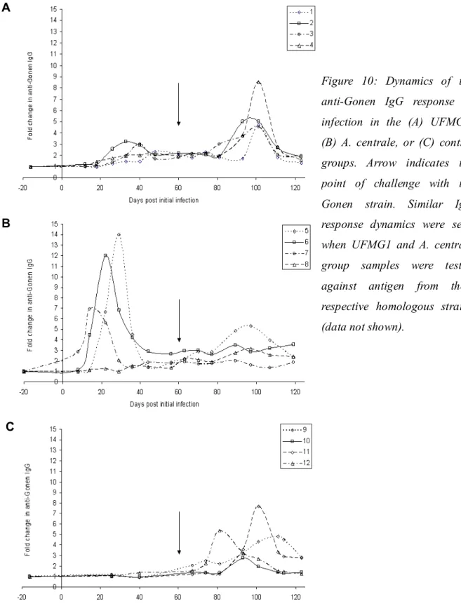 Figure  10:  Dynamics  of  the  anti-Gonen  IgG  response  to  infection  in  the  (A)  UFMG1,  (B)  A