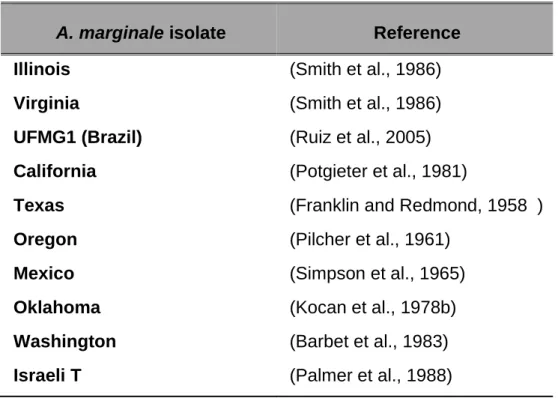 Table 1.3. Anaplasma marginale isolates with an inclusion appendage. 