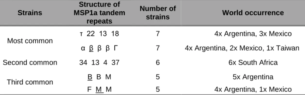 Table 3.1. Geographical occurrence of the most common A. marginale strains. 
