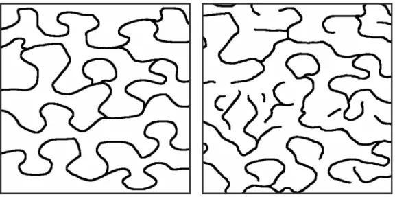 Figure 1. Example of a simulation of highly sinuous meanders using MPS. (left) Training image