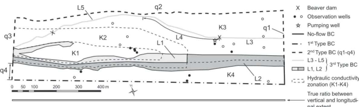 Fig. 5. Spatial deﬁnition of the boundary conditions (BCs) and the hydraulic conductivity zonation within the modeling domain