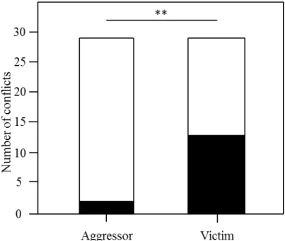 Figure  2.  Number  of  conflicts  involving  either  single  (black)  or  paired  (white)  individuals according to whether they were the aggressor or the victim of the conflict
