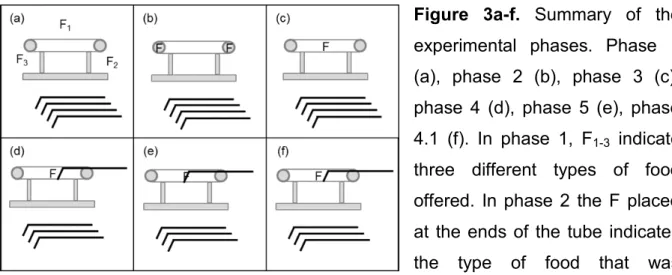 Figure  3a-f.  Summary  of  the  experimental  phases.  Phase  1  (a),  phase  2  (b),  phase  3  (c),  phase  4  (d),  phase  5 (e),  phase  4.1  (f)