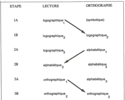 Figure 4 - Modèle de l'acquisition de la lecture et de  l'orthographe de Frith (Ellis, 1997, p.271) 