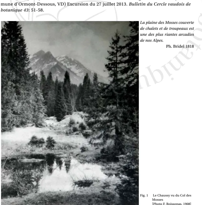 Fig. 1   Le Chaussy vu du Col des  Mosses