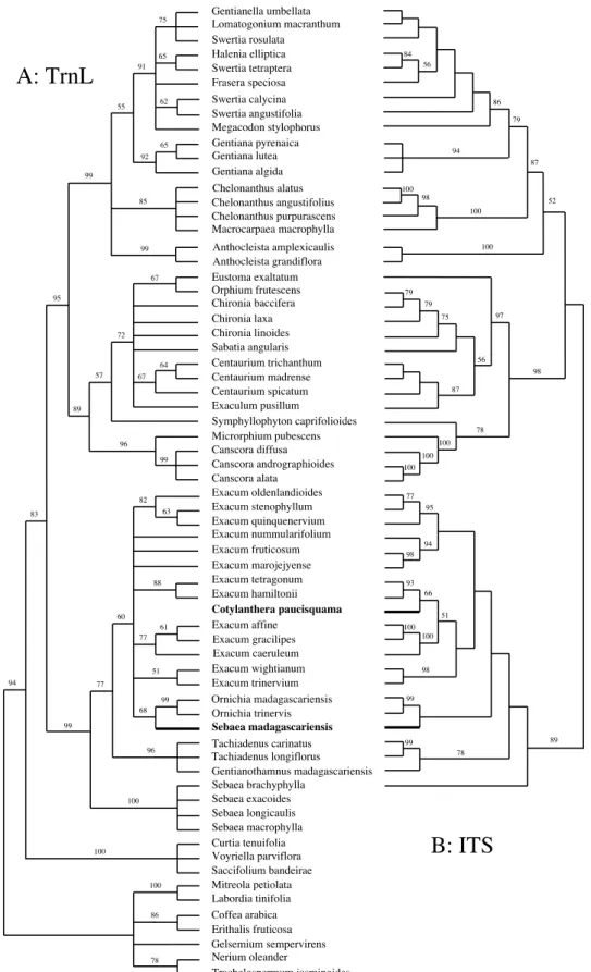 Fig. 1. Comparison of strict consensus trees obtained from separate analyses of trnL (UAA) intron and ITSsequence alone