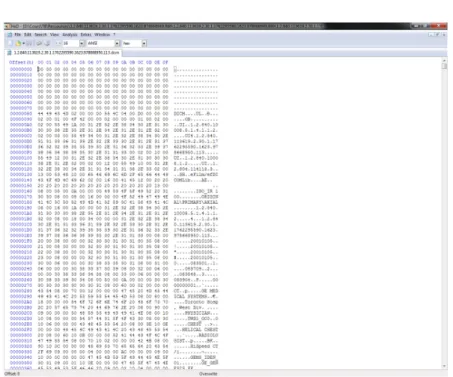 Figure 3.6: HxD interface