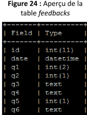 Figure 24 : Aperçu de la  table feedbacks 