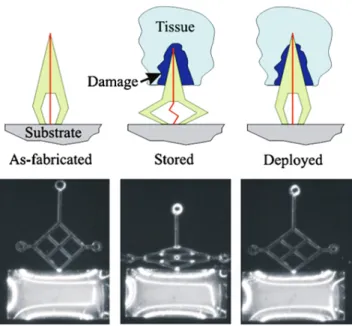 Figure 1-9. Schematic (top) and light micrographs of a prototype SMP neuronal probe. 