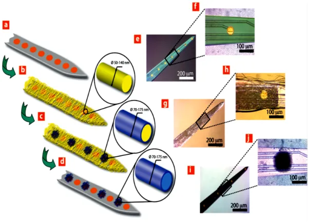 Figure  1-20.  Schematic  illustration  of  conducting  polymer  (PEDOT)  nanotube  fabrication  on  neural  microelectrodes:  (a,  b)  Electrospining  of  polylactic  acid  (PLLA)  nanofibers