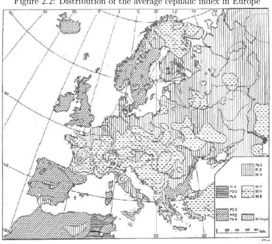 Figure 2.2: Distribution of the average cephalic index in Europe