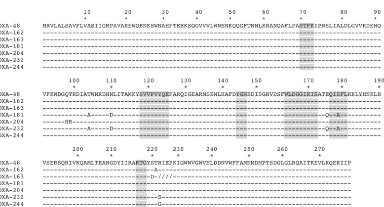 Figure 1. Amino acid alignment of OXA-48 and six other variants. Dashes indicate identical residues among all amino acid sequences