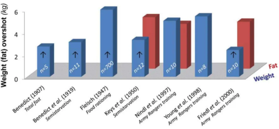 Figure 1 Fat overshooting after one cycle of weight loss and weight regain in normal-weight humans