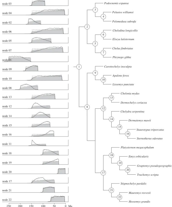 Figure 3. Plots contrasting the user-specified uniform calibration priors (dashed lines), firstly, with the effective marginal priors observed when each node is used for calibration during independent rounds of cross-validation (grey plots) and secondly, w