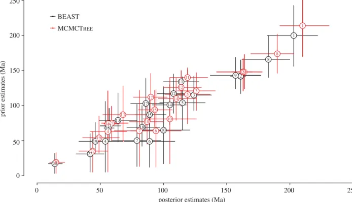 Figure 4. Plot contrasting the prior and posterior estimates (mean and 95% credibility intervals) obtained using BEAST (black) and MCMCT REE (red)
